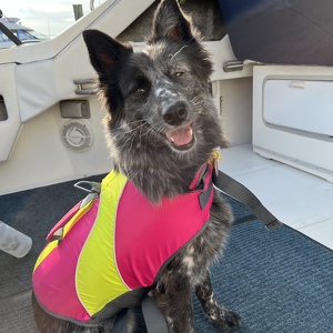 Fundraising Page: Savannah Ventura